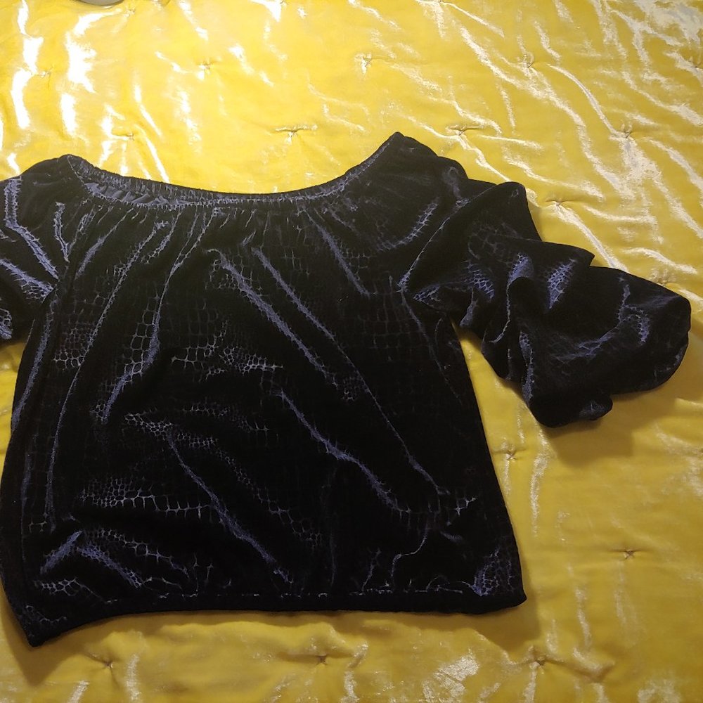 NWOT Express Velvet Croc Imprint Puff Sleeve Top